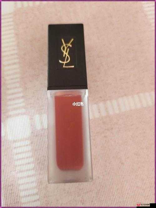 YSL 千色 T9T9T9 观看范围：探索时尚色彩的无限可能